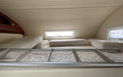 FC9BDD95-B6AC-446F-BDD4-D4907A646F24